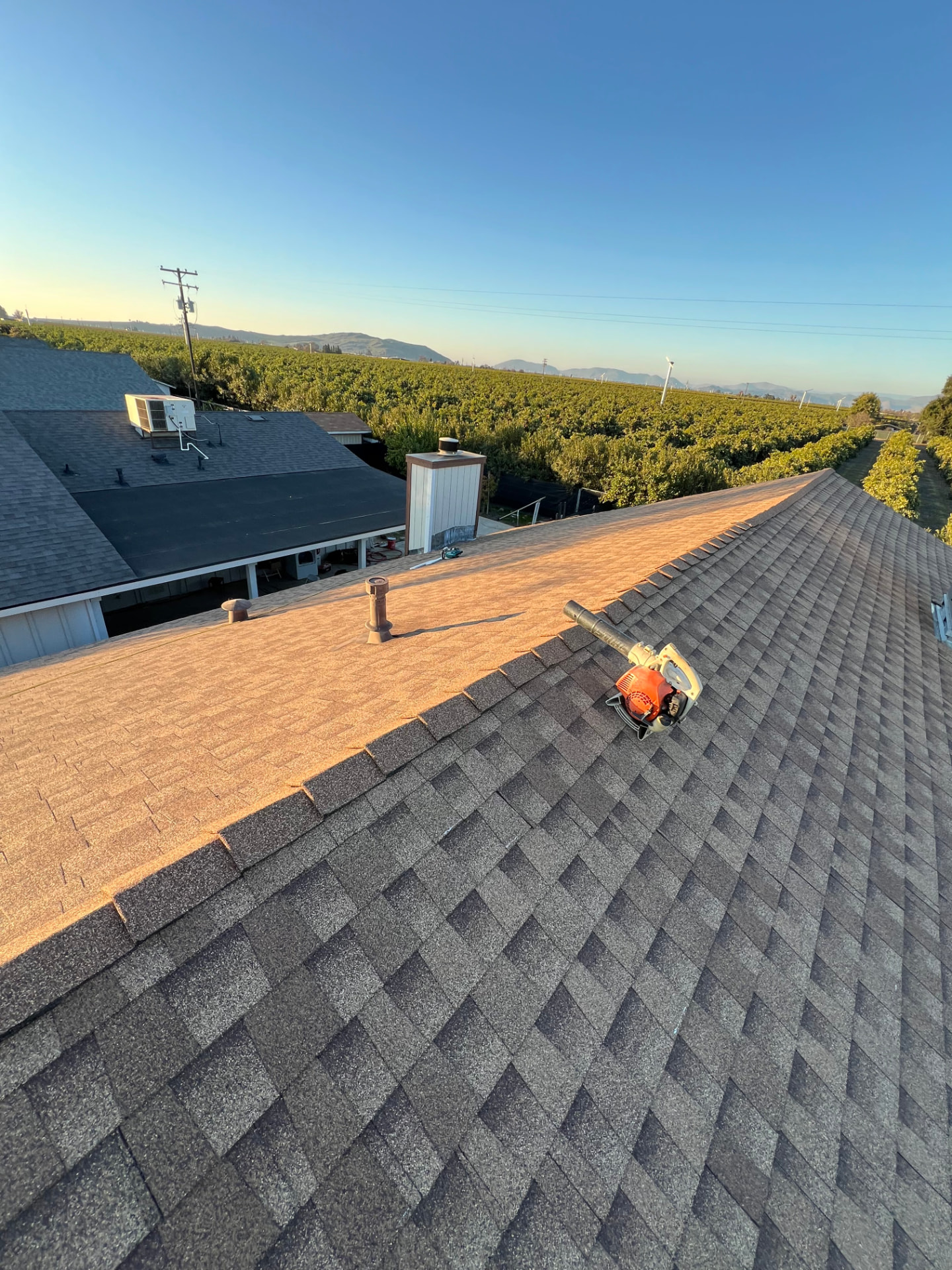 New shingle roof on a rural Central Valley home overlooking orchards