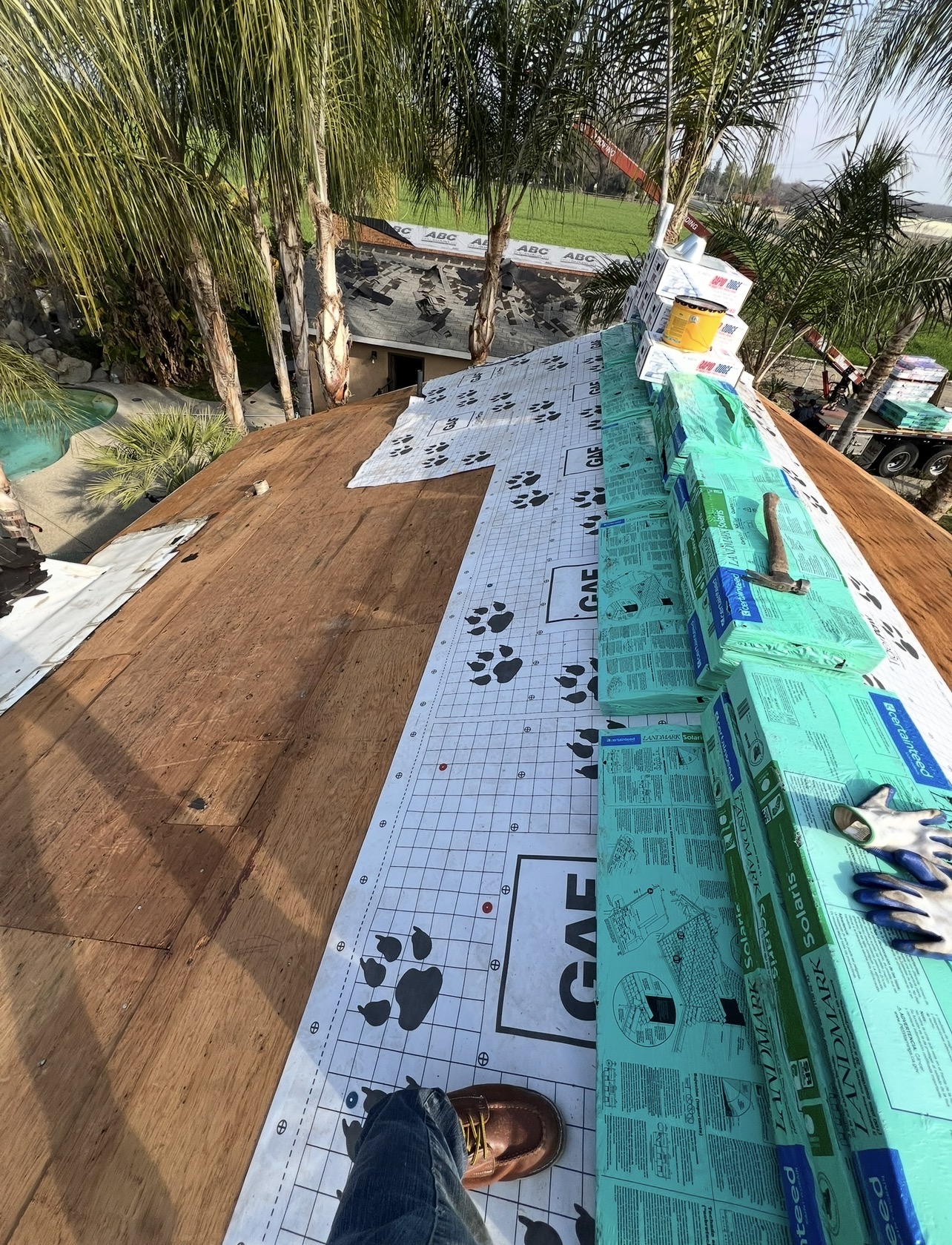 Residential roof underlayment and shingle bundles on a palm-lined property